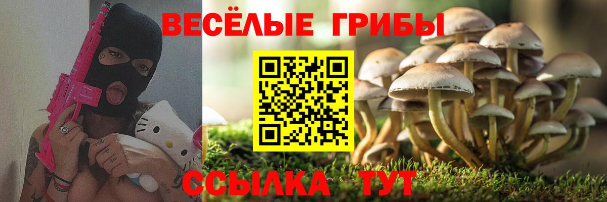 Галлюциногенные грибы Psilocybe  Вход с VPN  Псилоцибиновые грибы Psilocybine cubensis  Мелеуз 
